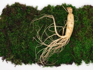 Read more about the article Ginseng: Unlocking the Health Benefits