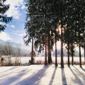 Read more about the article How to get Vitamin D in the winter